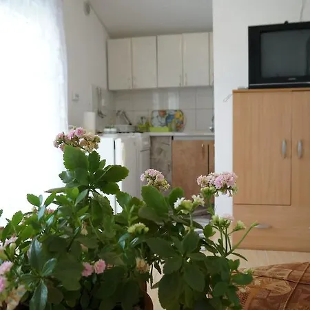 Apartment Red Rose