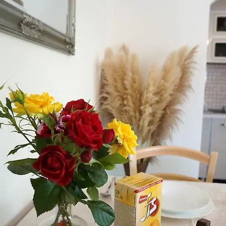 Appartamento Red Rose